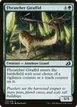 Flycatcher Giraffid #153