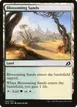 Blossoming Sands #244