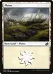 Plains #260