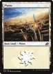 Plains #261