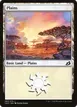 Plains #262