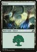 Forest #272