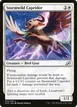 Stormwild Capridor #34