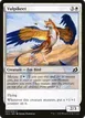 Vulpikeet #37