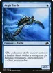 Aegis Turtle #39