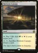 Horizon Canopy #240