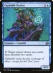 Cephalid Broker #44