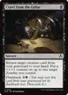 Crawl from the Cellar #102