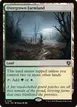 Overgrown Farmland #281