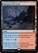 Stormcarved Coast #285