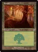 Forest #296