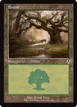 Forest #297
