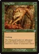Young Wolf #425