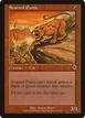 Scarred Puma #163