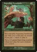 Saproling Symbiosis #209