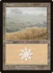 Plains #333