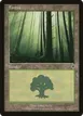 Forest #347