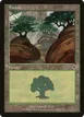 Forest #349