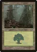 Forest #350
