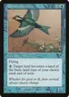 Dream Thrush #53