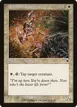 Benalish Trapper #8