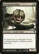 Rotting Fensnake #113