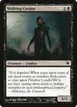 Walking Corpse #126
