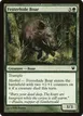 Festerhide Boar #179