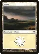 Plains #252