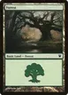 Forest #264