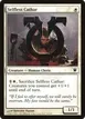 Selfless Cathar #30