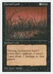 Cursed Land #18