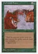 Durkwood Boars #39