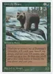 Grizzly Bears #42