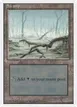Swamp #59