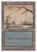 Swamp #60