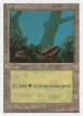 Forest #65
