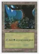 Forest #66