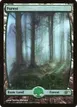 Forest #5★