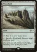 Wasteland #8