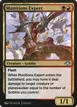 Munitions Expert #705