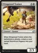 Wingsteed Trainer #7