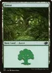 Forest #110