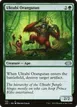 Uktabi Orangutan #133