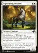 Captivating Unicorn #163