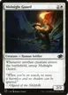 Midnight Guard #216