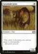 Savannah Lions #237