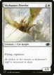 Skyhunter Prowler #246
