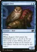 Augury Owl #273