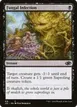 Fungal Infection #416